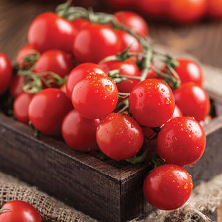 Red Cherry Tomatoes & Tomato Medley